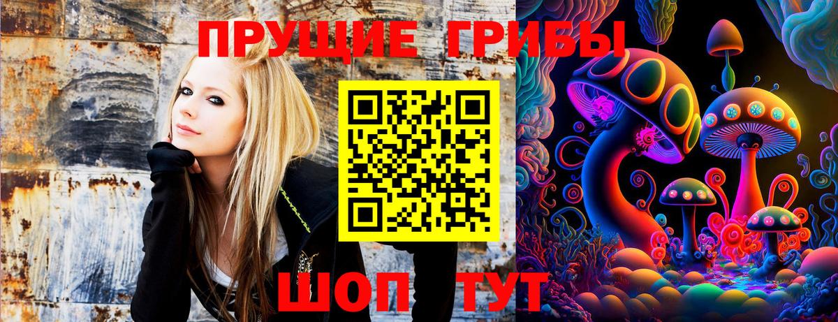 Фролово  Галлюциногенные грибы прущие грибы  Галлюциногенные грибы мицелий  Вход с VPN 